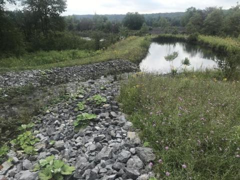 A verdant field and trees with blooming purple flowers surround the rocks and pond of a passive water treatment system.