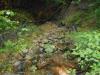 green landscape