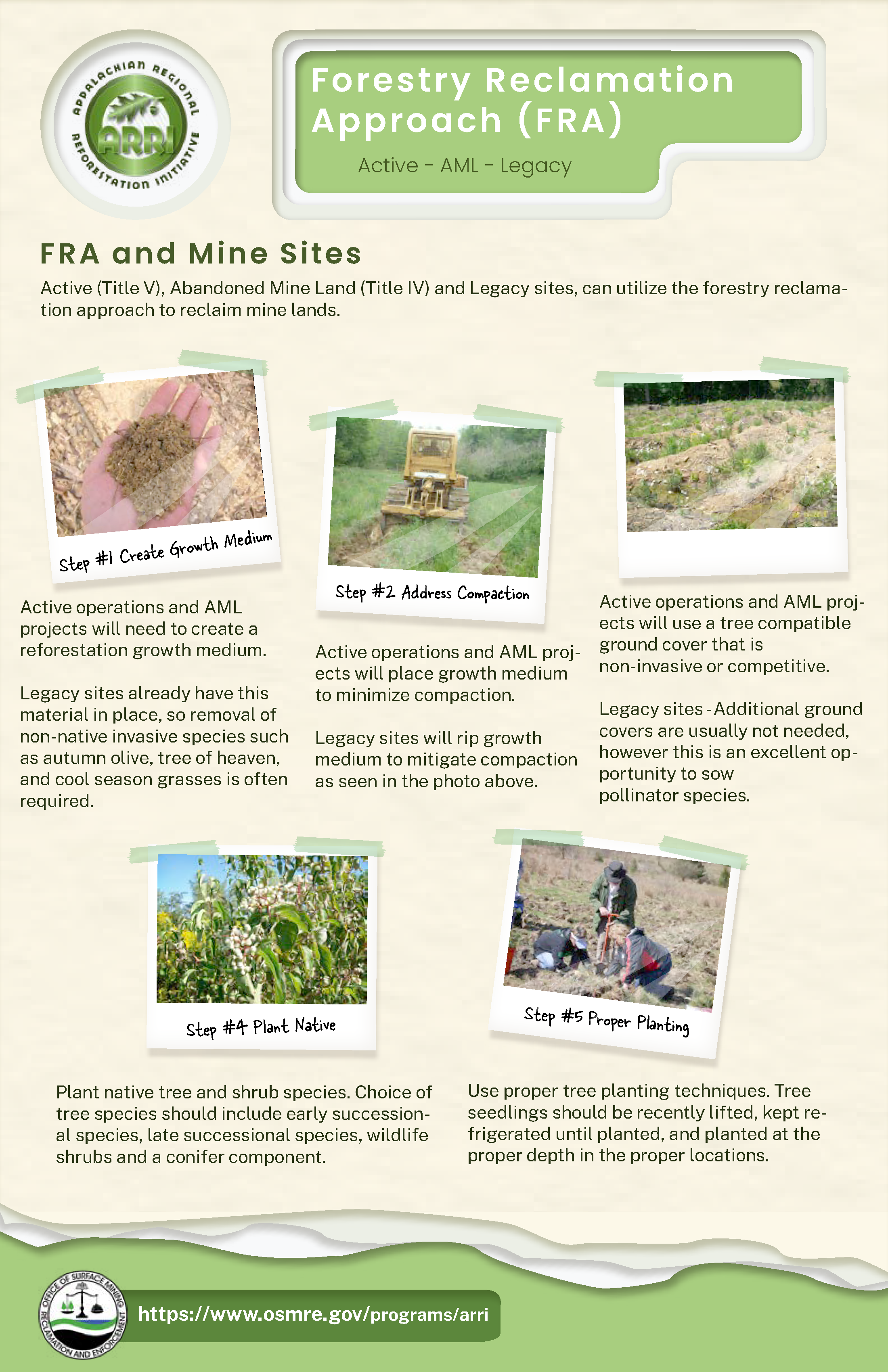 Image depicting the 5 steps of the forestry reclamation approach.
