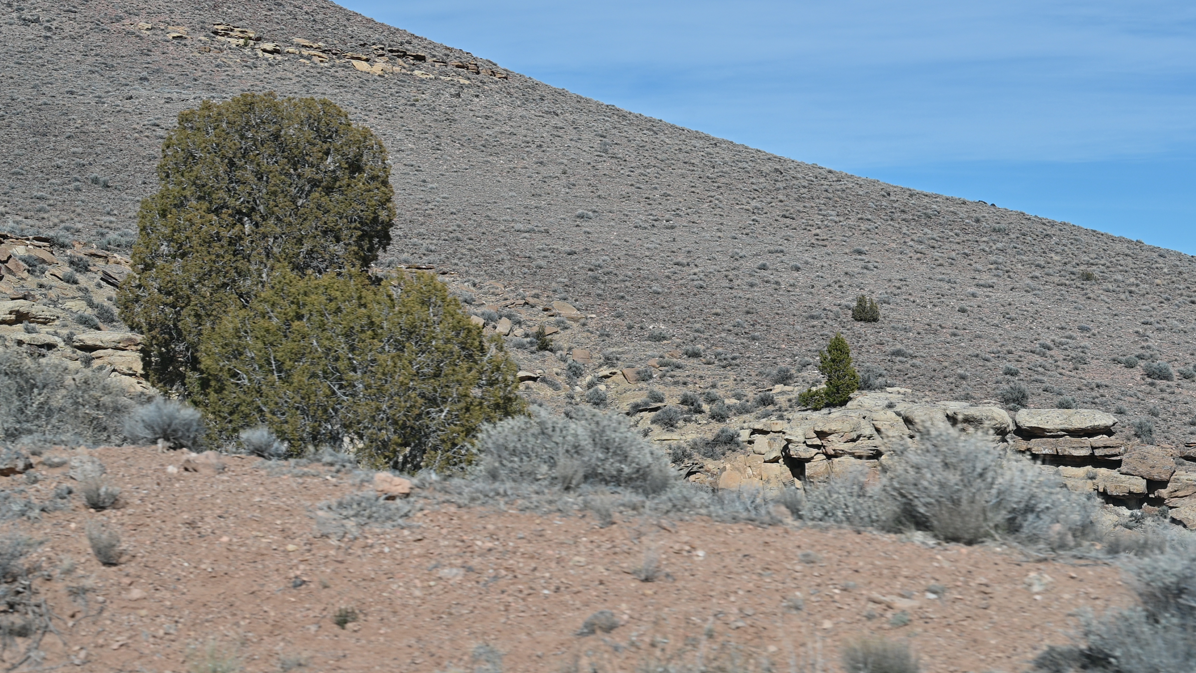 Rock formations, less formally known as "critter condos", are placed throughout the reclaimed areas to provide shelter to small wildlife in the area.