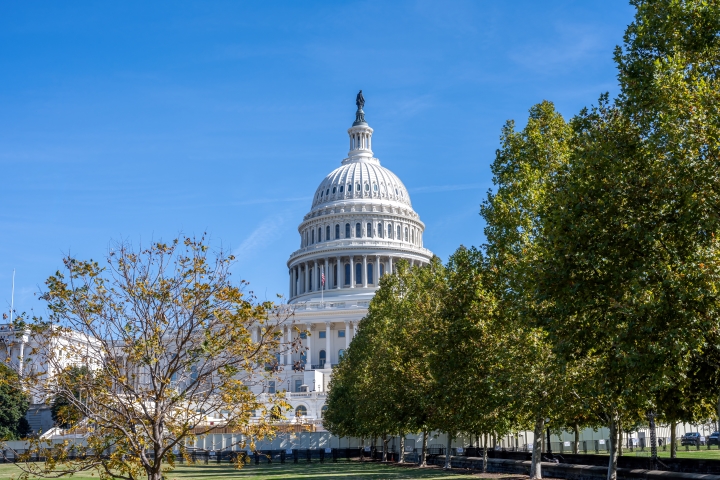 US Capitol, Washington DC