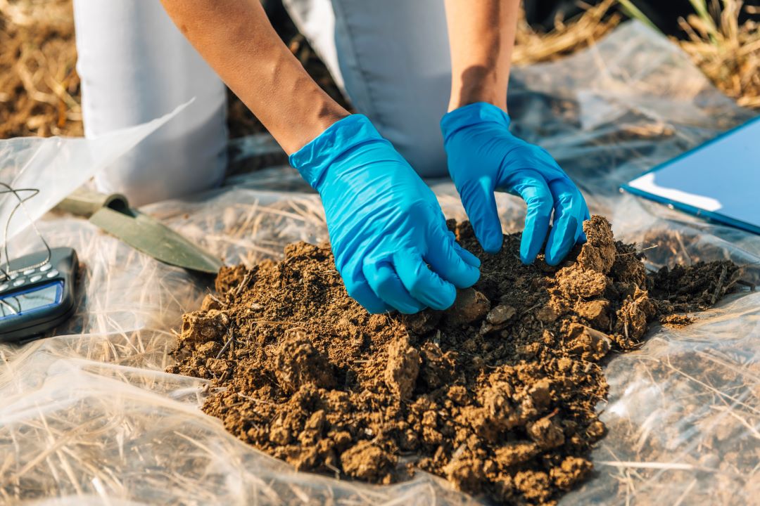 soil certification inspector
