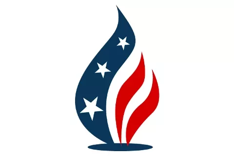 Our Organization