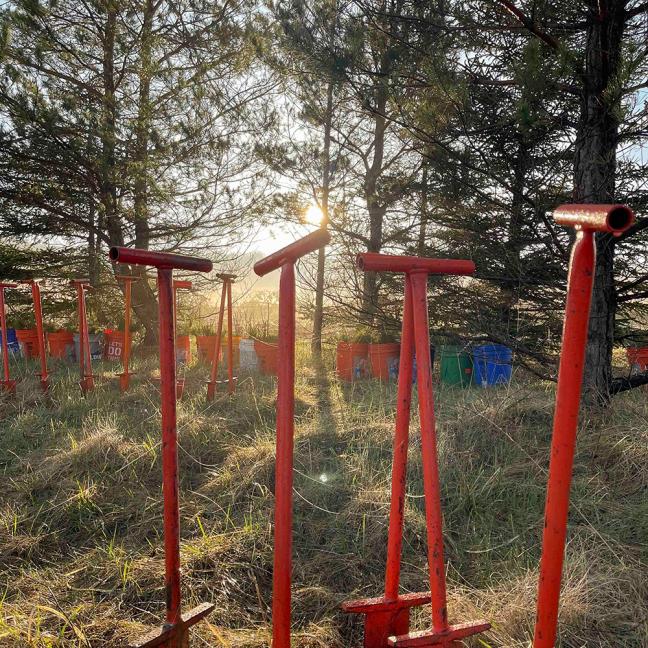 Dipple bars stand in the sunrise before being used to plant trees at the Plant a Tree at Flight 93 event at the Flight 93 National Memorial, Somerset County, Pennsylvania, April 22, 2022. The event highlighted more than 10 years of work and events to plant over 150,000 trees, across 214 acres of former coal mine land. (Photo courtesy of NPS/B. Torrey)