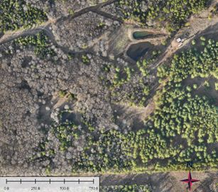A classified LiDAR point cloud and orthomosaic image as shown in Global Mapper 4