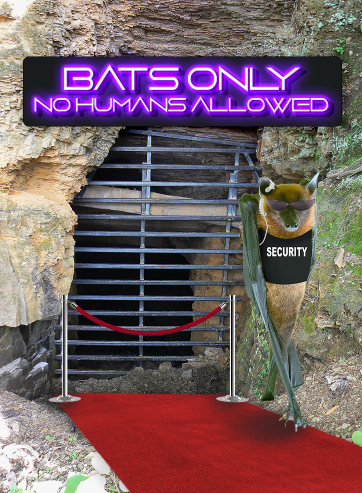 A bat dressed like a security guard stands in front of a mine opening with a bat gate.