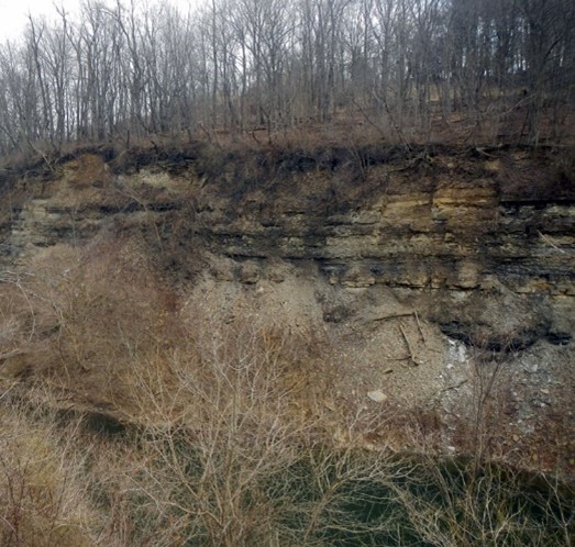 Highwall at Friendship Park, Jefferson County, Ohio. Photo courtesy of Ohio Department of Natural Resources.