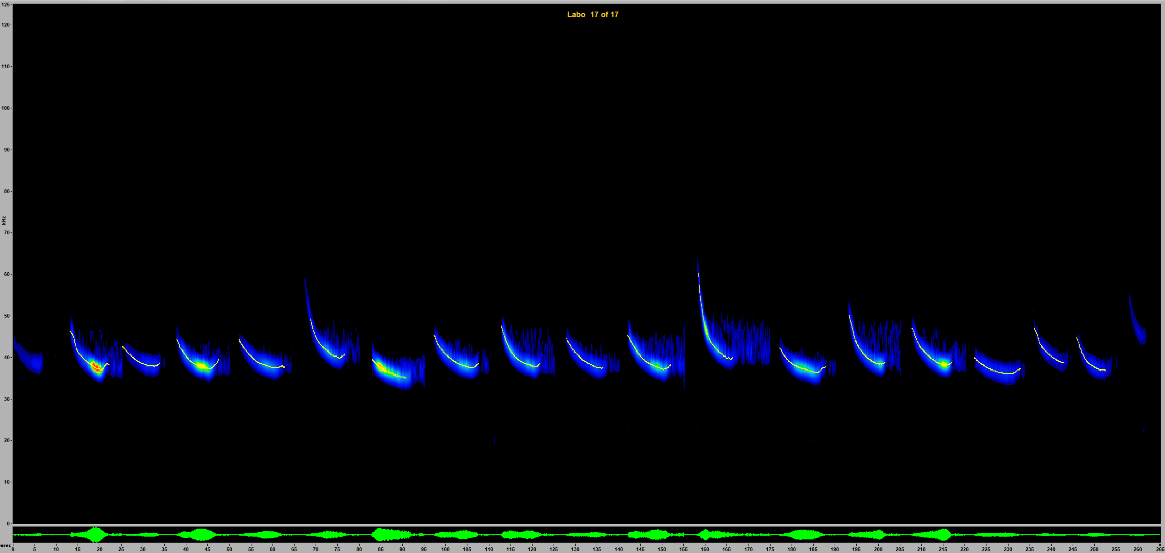 A sonogram image showing a visualization of bat sounds.