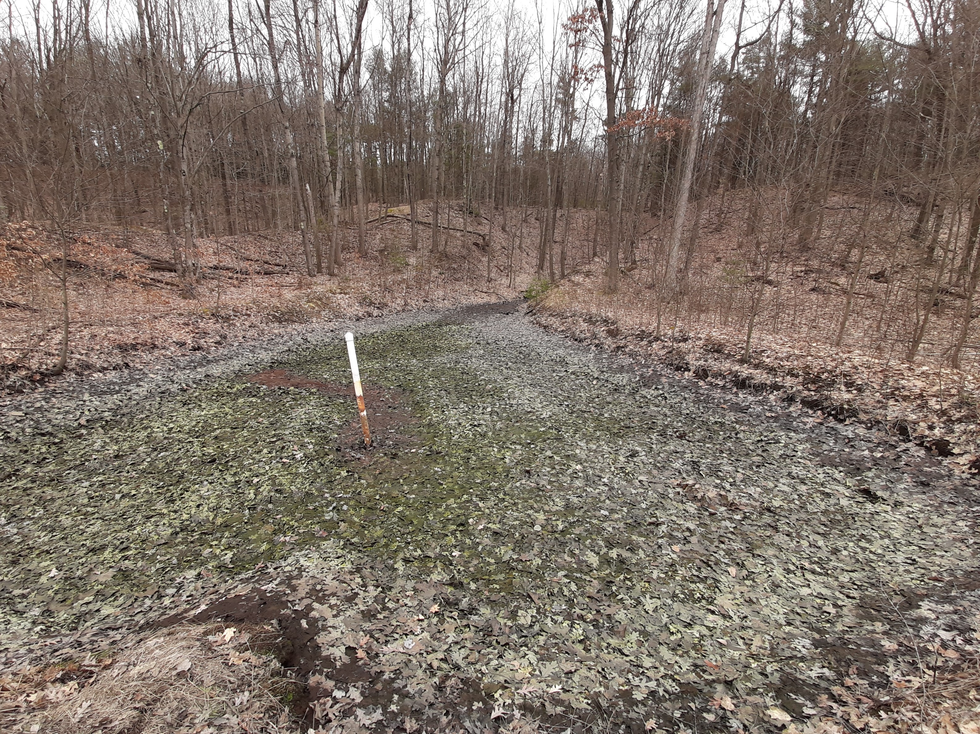 Mine Drift treatment basin after being drained in preparation for rehabilitation work. Photo courtesy of Moshannon Creek Watershed Association.