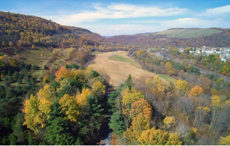 Aerial photo of trees in fall colors surrounding a recreational area