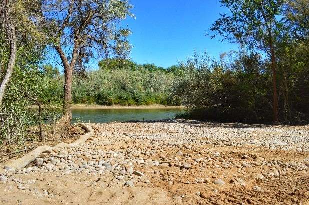 Sand and rocks sit in the foreground of a waterway vista surrounded by green trees and blue sky