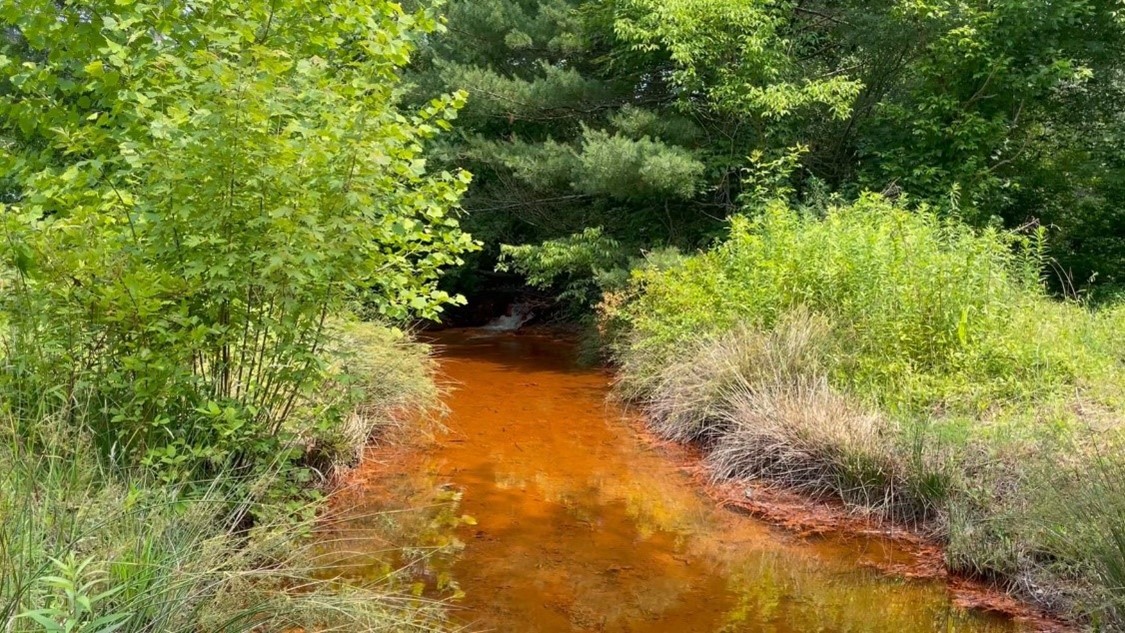 Orange water flows through bright green vegetation 