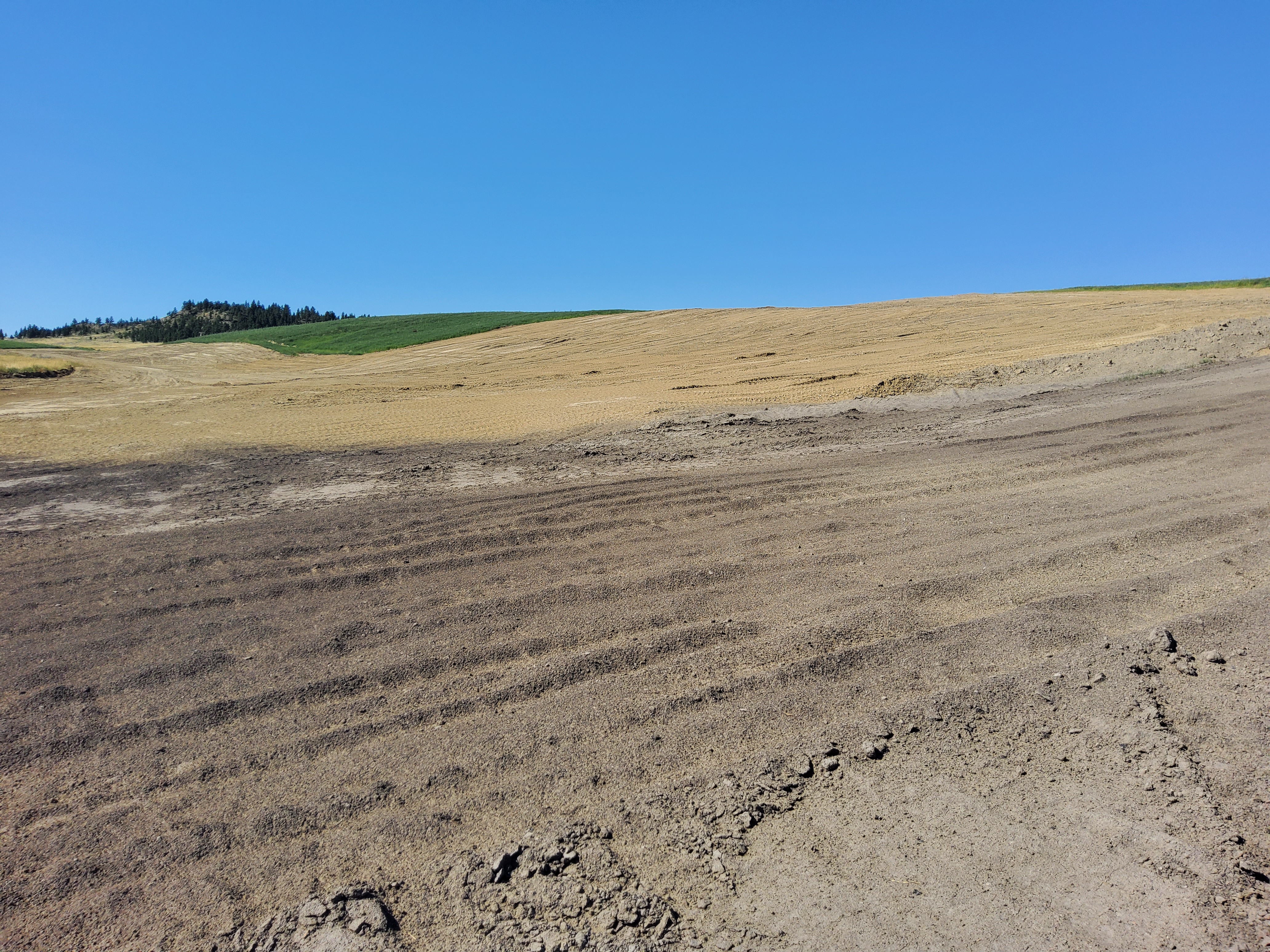 Photograph showing various stages of reclamation at the Absaloka South Mine on Crow Land.  From background to foreground it shows undisturbed trees, re-vegetation, topsoil laydown and graded spoil  on a hill landscape. 