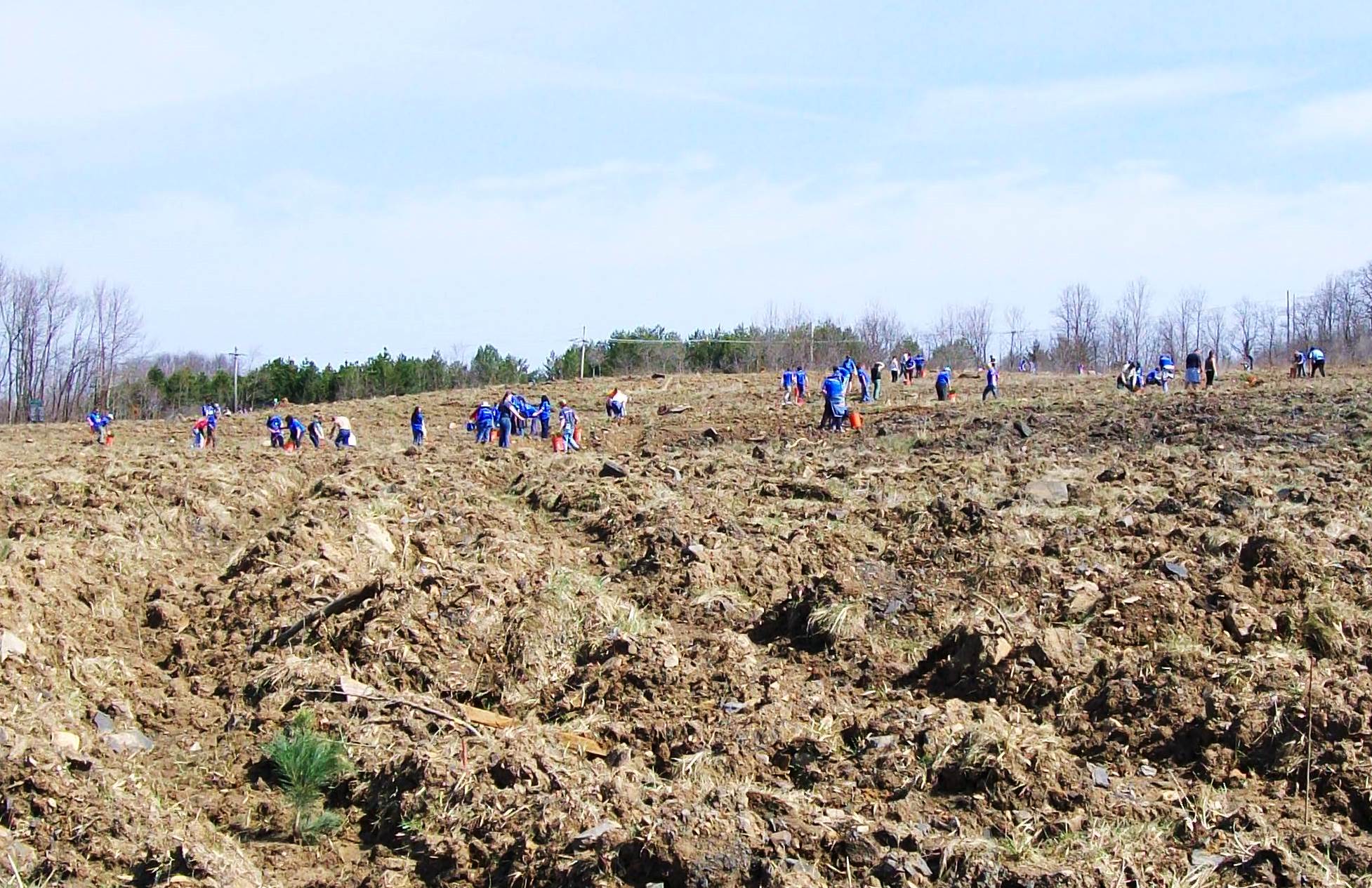 Volunteers planting trees at the Flight 93 national Memorial in Pennsylvania