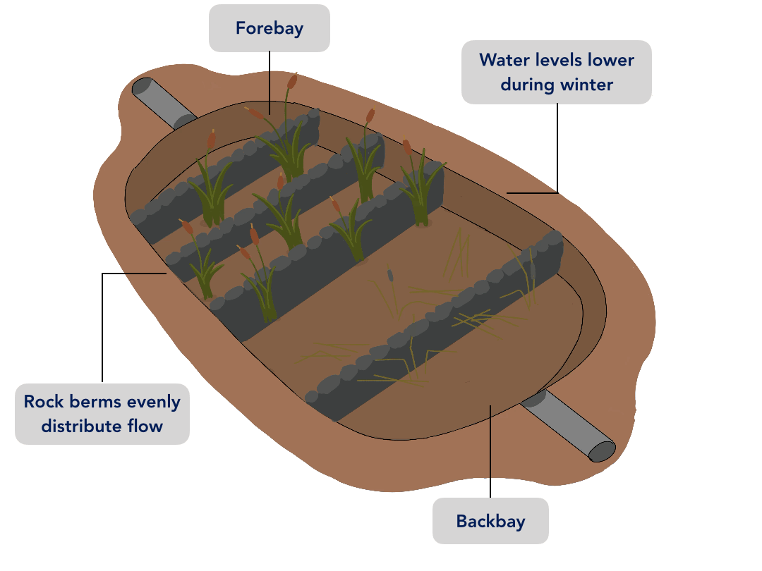 Image: Diagram of polluted water flowing through a constructed wetland for treatment.