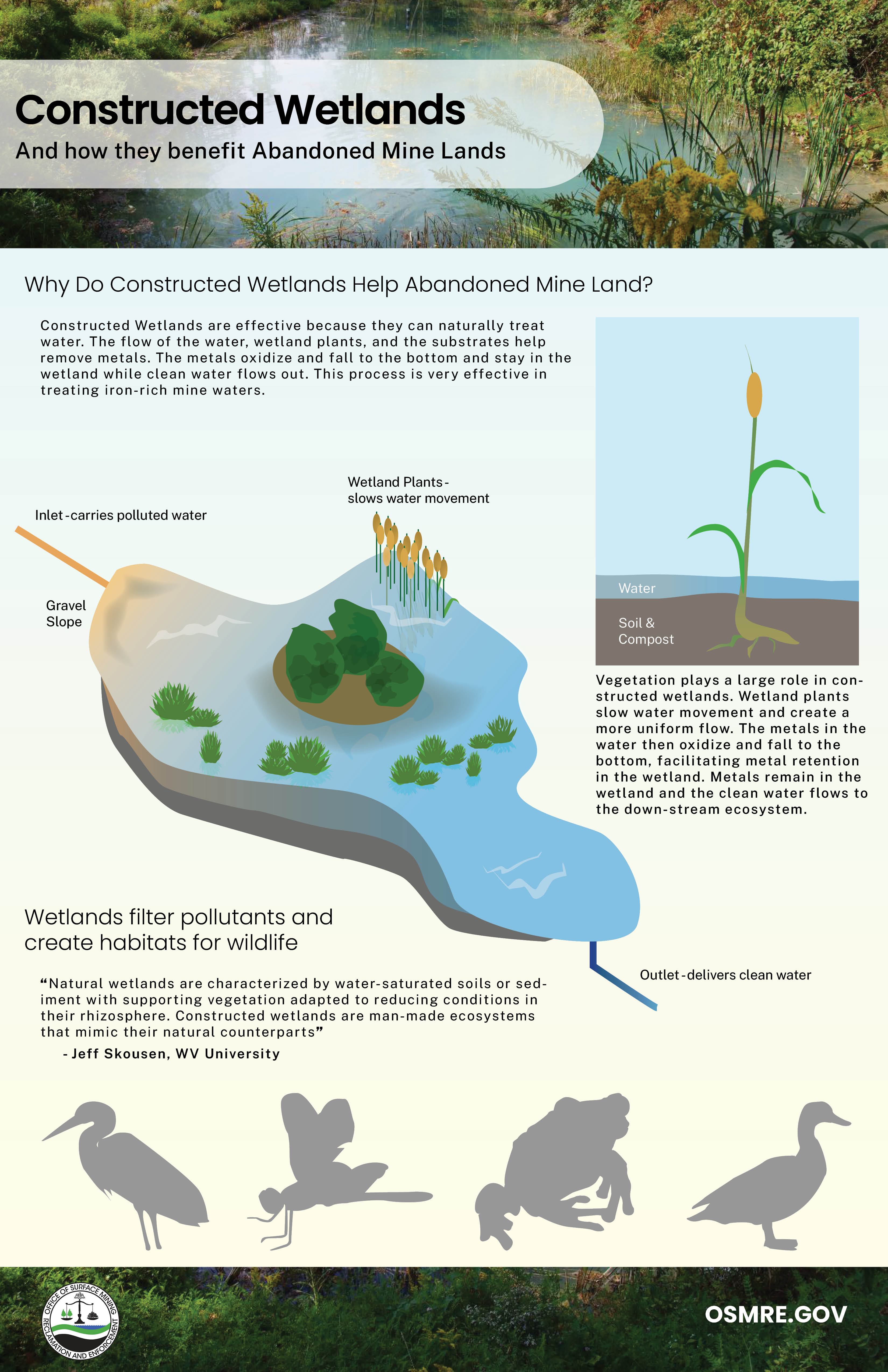 Mine drainage infographic, showing inlet carrying polluted water through wetland filtration to release clean water through outlet to downstream ecosystem.