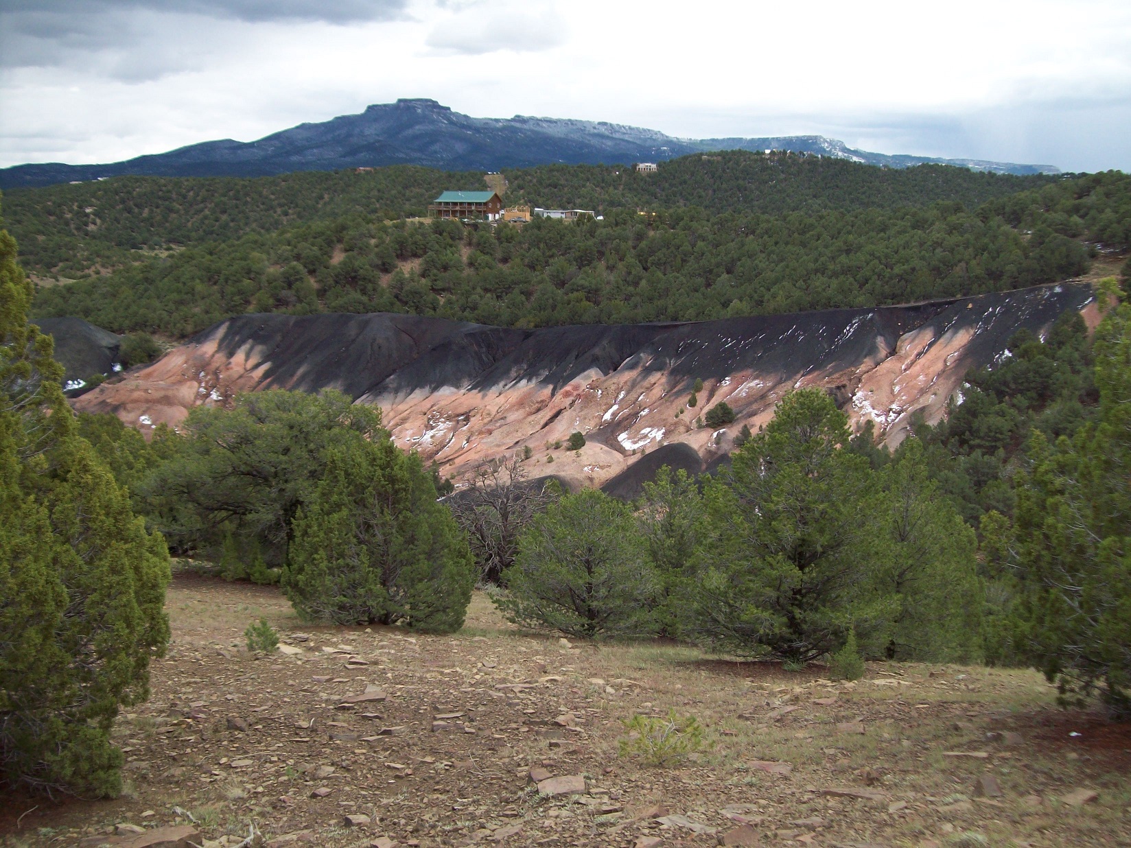 Trees and a coal seam are seen across the hilly landscape of the West Sorpis coal refuse reclamation project, Las Animas County, Colorado