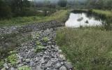 A verdant field and trees with blooming purple flowers surround the rocks and pond of a passive water treatment system.