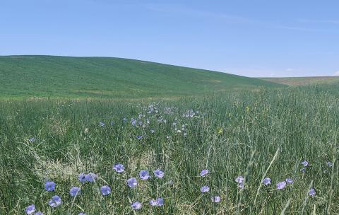 Office of Surface Mining Reclamation and Enforcement Recognizes Coal Operator with 2025 Excellence in Surface Coal Mining Reclamation Awards 
