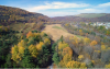 Aerial photo of trees in shades of fall color surrounding a recreational area
